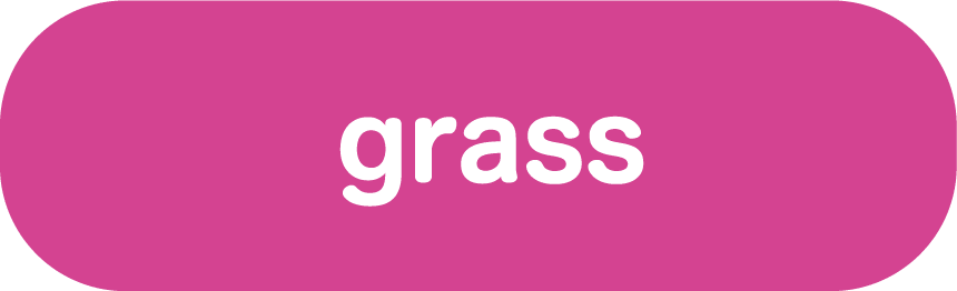 grass