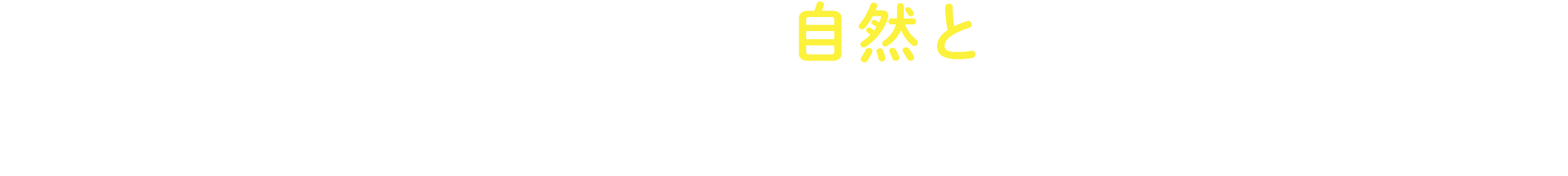 日本語を覚えるように自然と英語が身に付くWinBeのカリキュラム