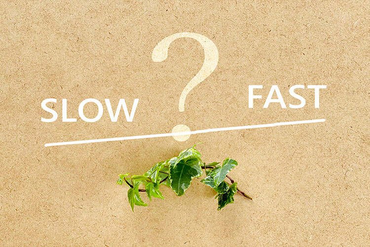 1. 5歳から英語を学ぶのは早い？遅い？