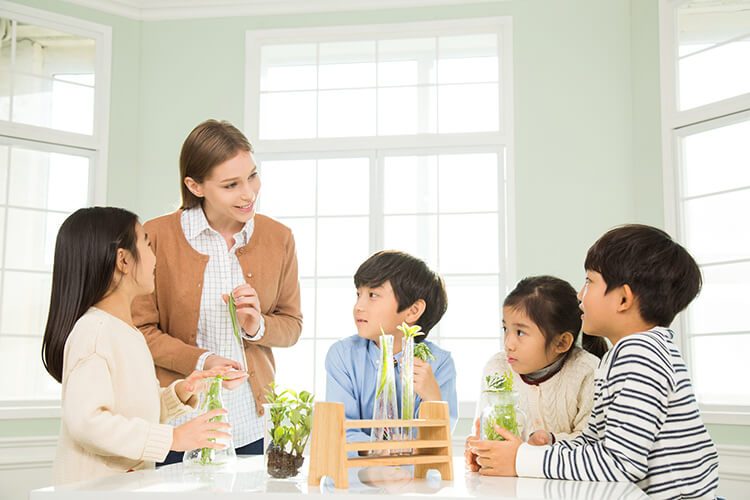 3-2.ネイティブ講師か日本人講師か