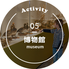 Activity 05 博物館 museum