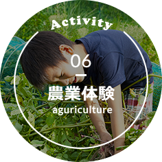Activity 06 農業体験 aguriculture
