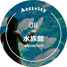 Activity 08 水族館 aquarium