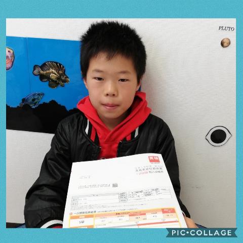 Y君